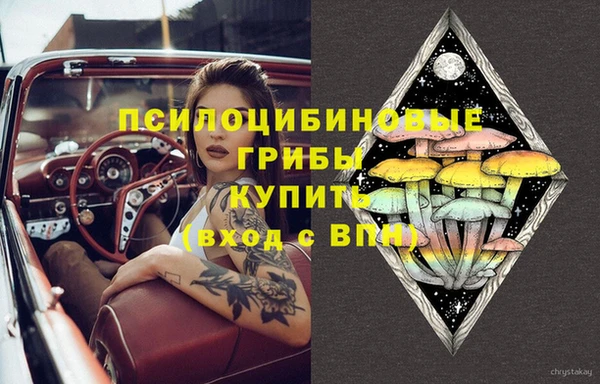 меф Инсар
