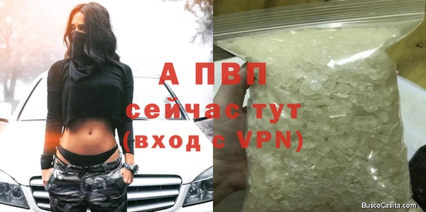 мескалин Инта