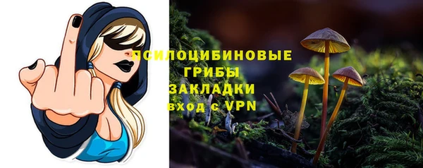 меф Инсар