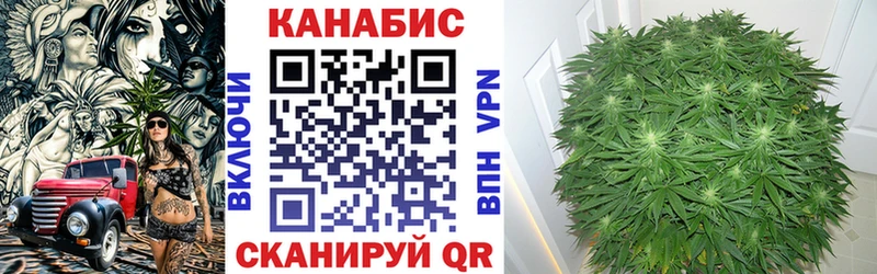 Купить  Таганрог  Конопля White Widow 